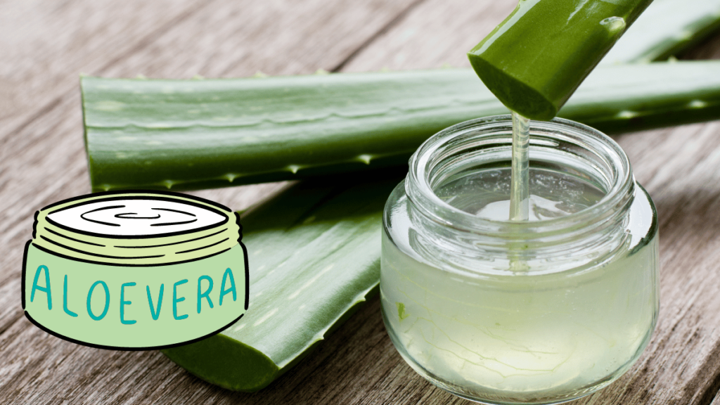 Aloe Vera